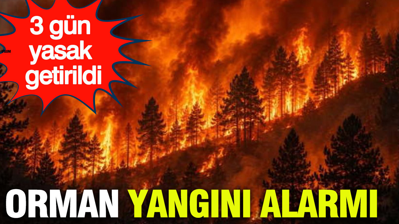 Çanakkale’de orman yangını alarmı: 3 gün yasak getirildi