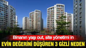 Haber gorseli